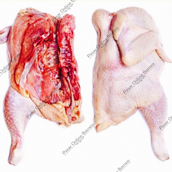 

Daging Ayam Segar Setengah Ekor