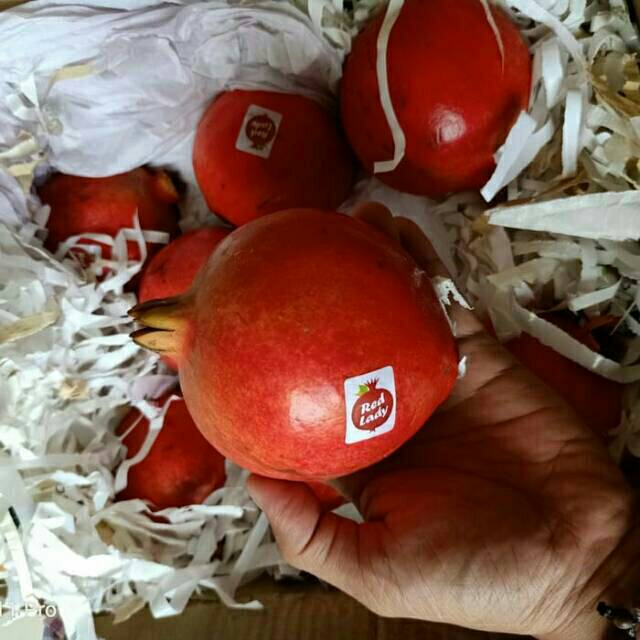 

DELIMA INDIA MERAH IMPORT MANIS HARGA PER KARDUS