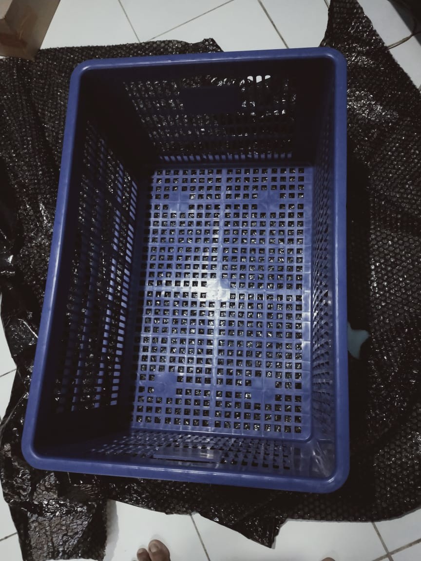 Krat Industri 80 Liter / Keranjang Serbaguna / Krat Multifungsi / Krat Industri 80l