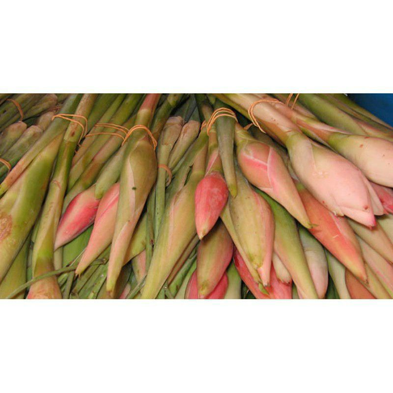 

Bunga kecombrang sayur 500 gram