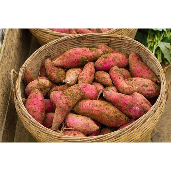 

Ubi Jalar 1kg