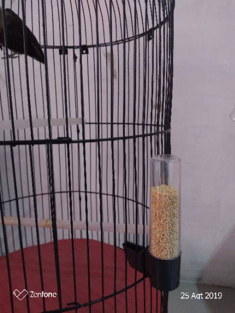 Tempat pakan Lovebird dan kenari