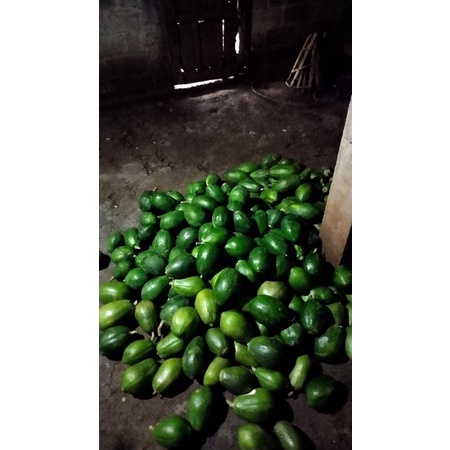 

pepaya / kates mentah