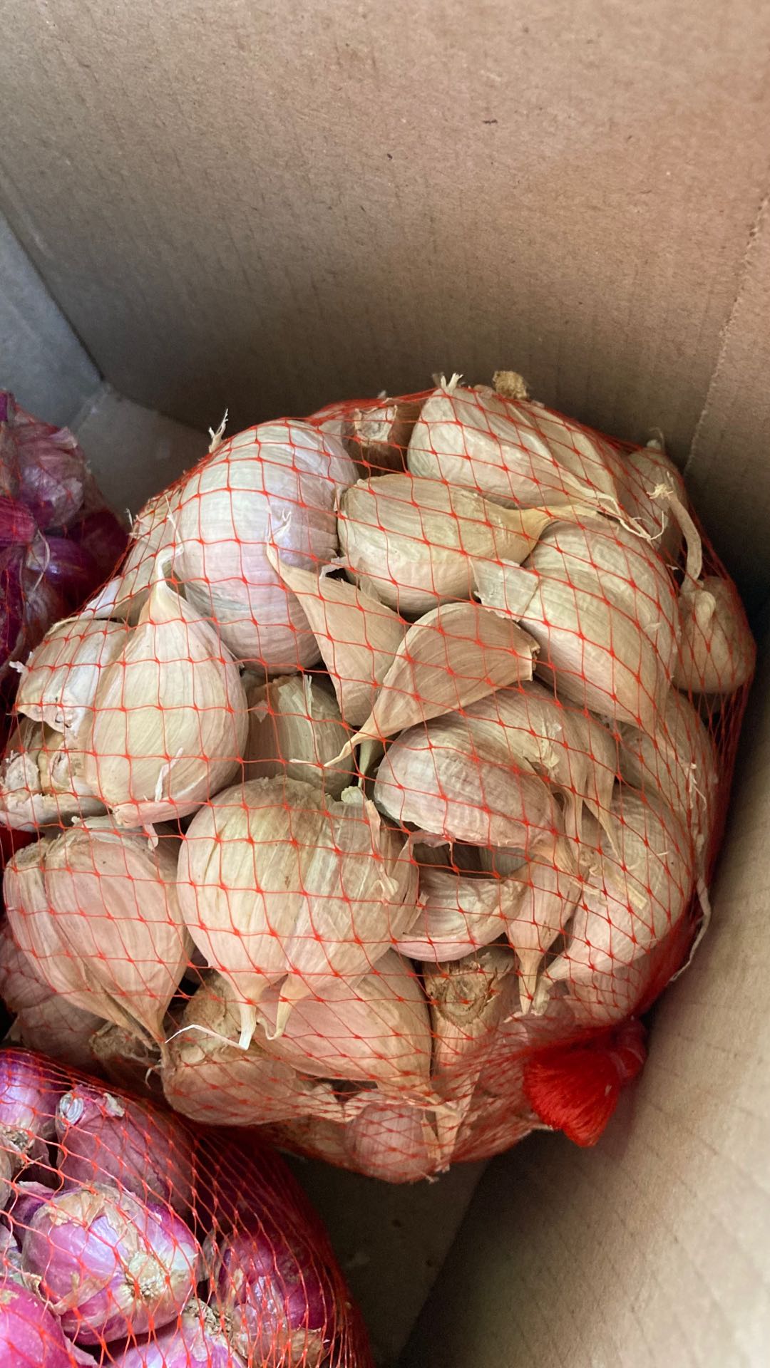 Bawang Putih Kating Harum Bersih 1 Kg