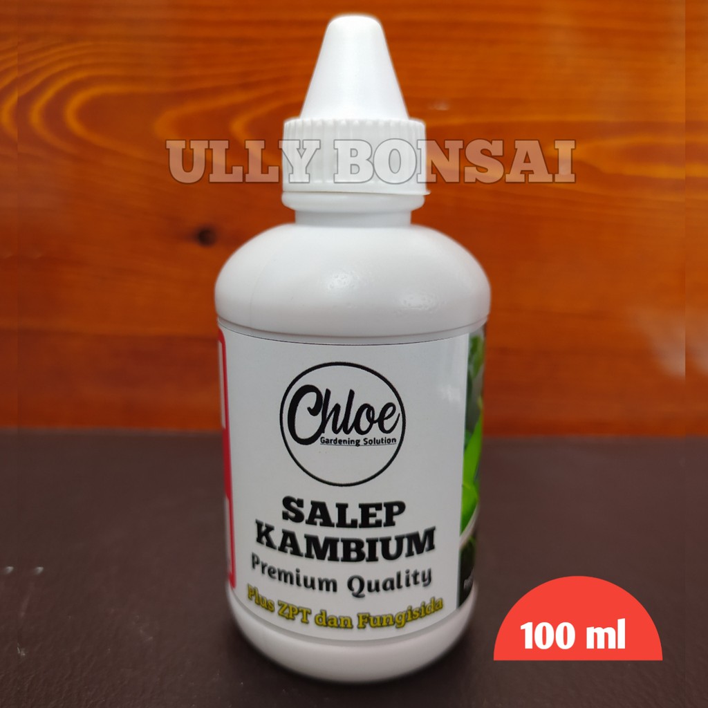 SALEP KAMBIUM PREMIUM QUALITY 100 ML ZPT PLUS FUNGISIDA KHUSUS TANAMAN HIAS/AGLONEMA