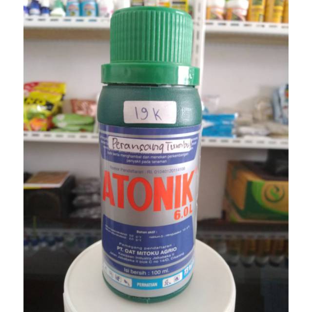 Atonik zat perangsang tumbuh