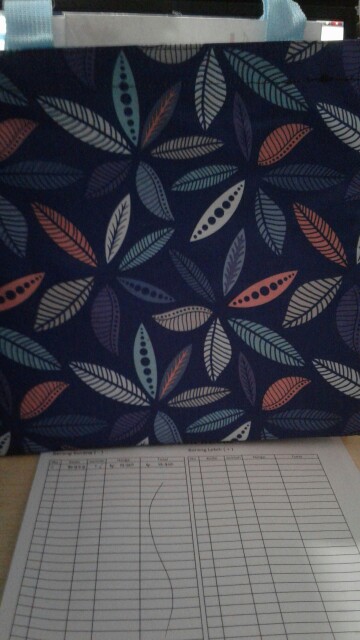 Tas Lunch Box / Tas Serbaguna Import Quality