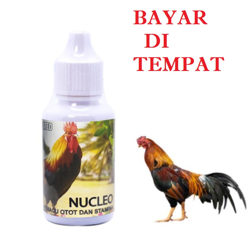 VITAMIN SUPLEMEN AYAM JAGO BANGKOK MURAH NUCLEO OBAT BURUNG DARA PEMACU STAMINA