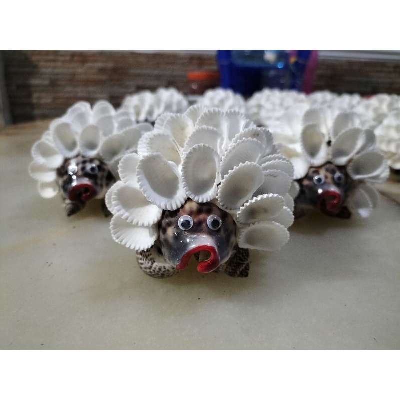 MAINAN KERANG DOMBA / KAMBING