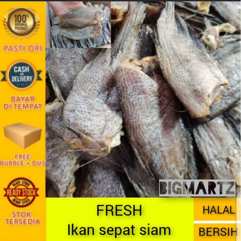

Ikan asin sepat siem 1kg super fresh export