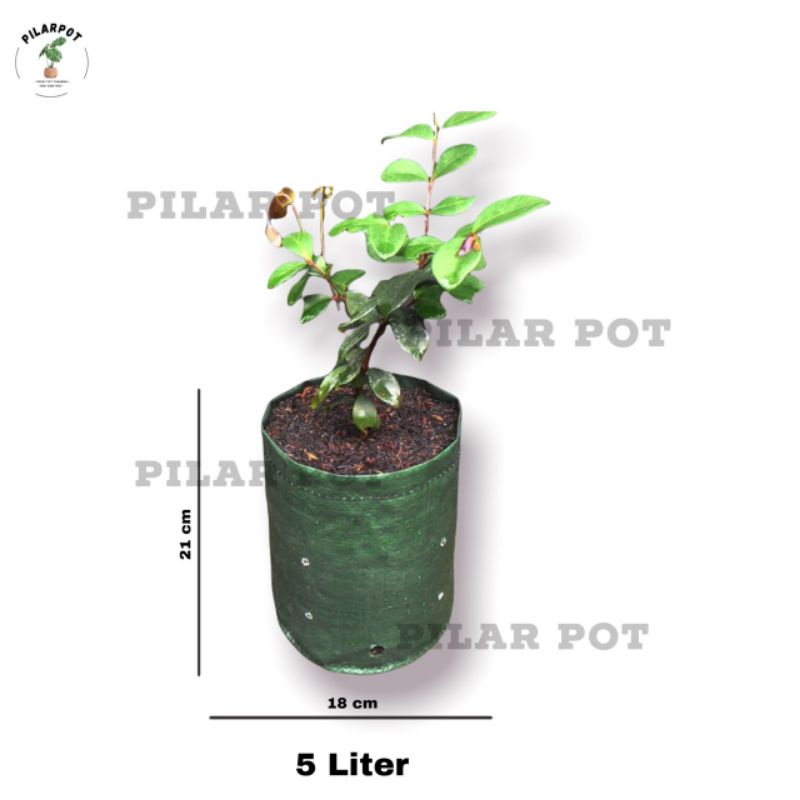 Planter Bag Easy Grow 5 Liter No Handle Untuk Pot Tanaman - PLANTER BAG 5 LITER EASY GROW