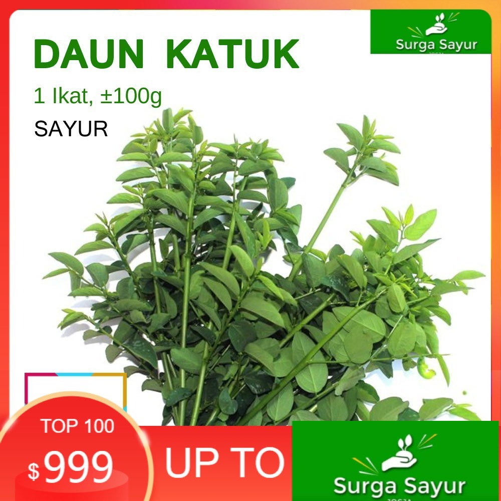 

SURGA SAYUR DAUN KATUK SEGAR - SAYUR PELANCAR ASI [1 Ikat ] SEJABODETABEK BISA INSTANT MENGGUNAKAN