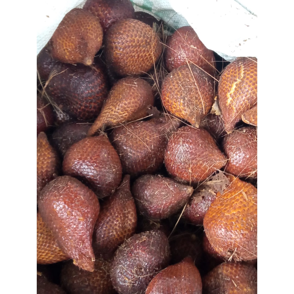 

Buah Salak Sidempuan 1 kg