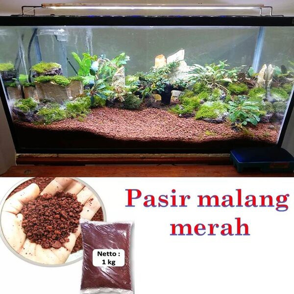 PASMAL PASIR MALANG MERAH 1 kg 1kg aquarium aquascape