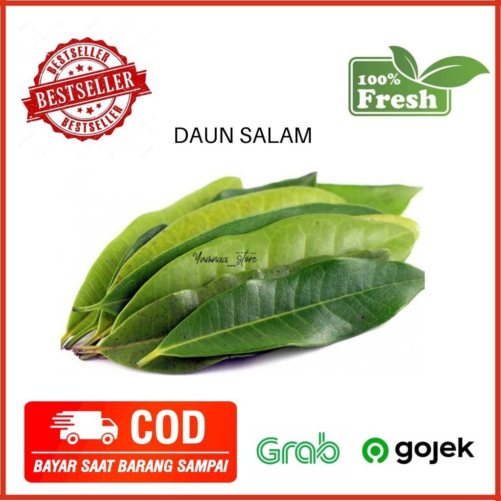 

Daun Salam Sayur Sayuran Segar Fresh Murah Jakarta 100 Gram