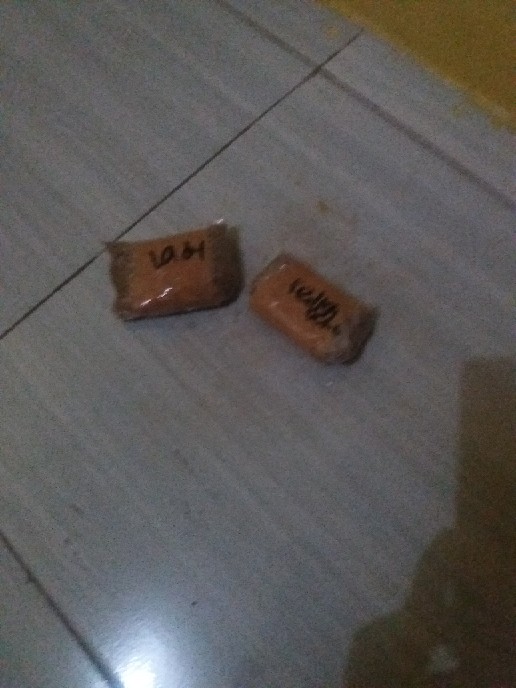 Ready Bonggol Aglonema Red Khocin