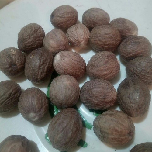 

biji pala 1kg