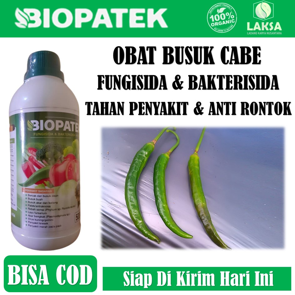 Fungisida BIOPATEK 500 ML Obat Busuk Cabe - BIOPATEK Obat Semprot Pengendali Busuk Cabe Anti Rontok 