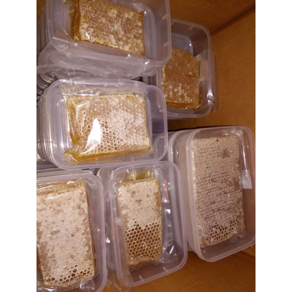 

MADU SARANG MELIFERA SARANG MADU ASLI HUTAN LIAR