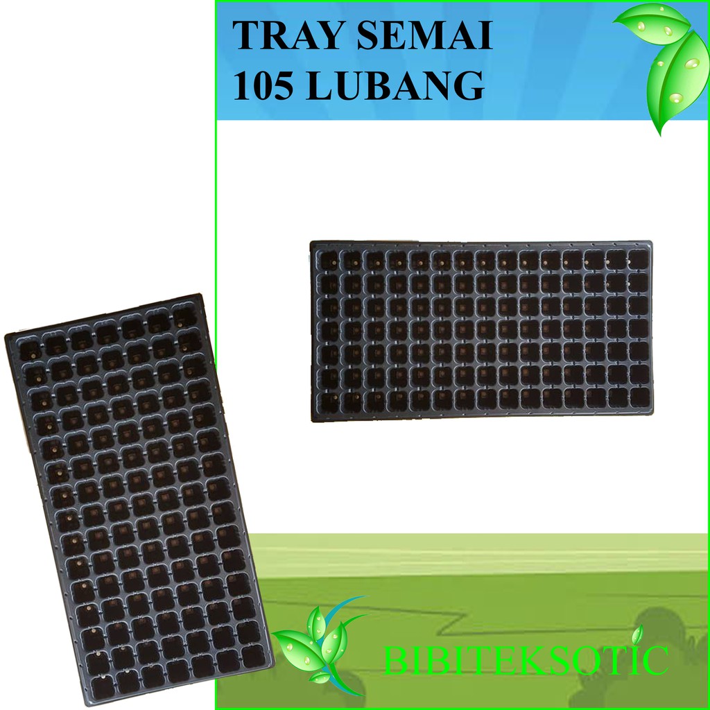 Tray Semai 105 Lubang