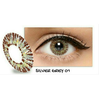 SOFTLENS X2 ICE SILVER / ABU ABU / GREY KEMENKES BY ...