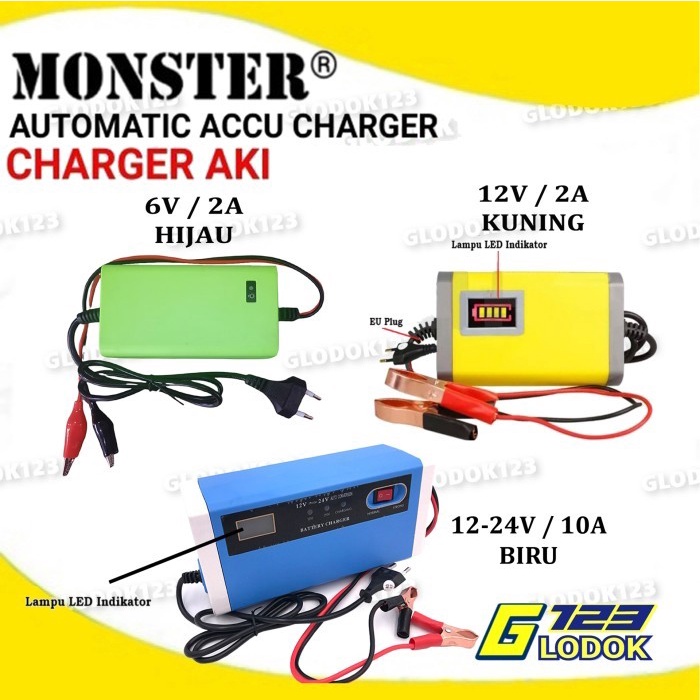 Alat Cas Charger Aki Accu Kering Basah 6V 12V 24V 2A 6A Motor Mobil