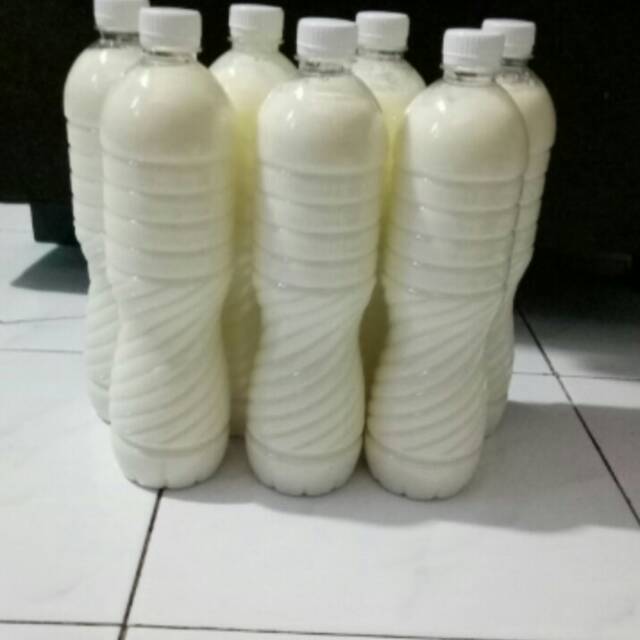 

SUSU KEFIR