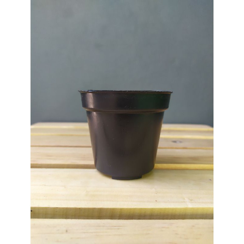 POT HITAM PLASTIK 8 cm