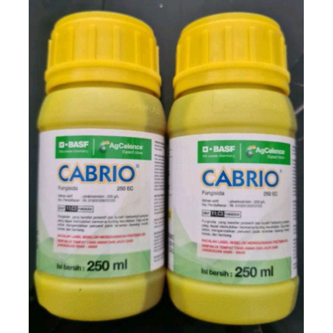 FUNGISIDA CABRIO 250EC 250ML