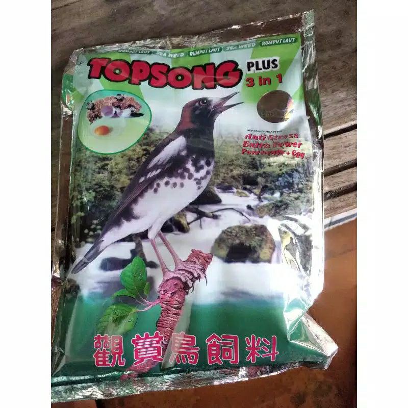 

Top song Rumput laut