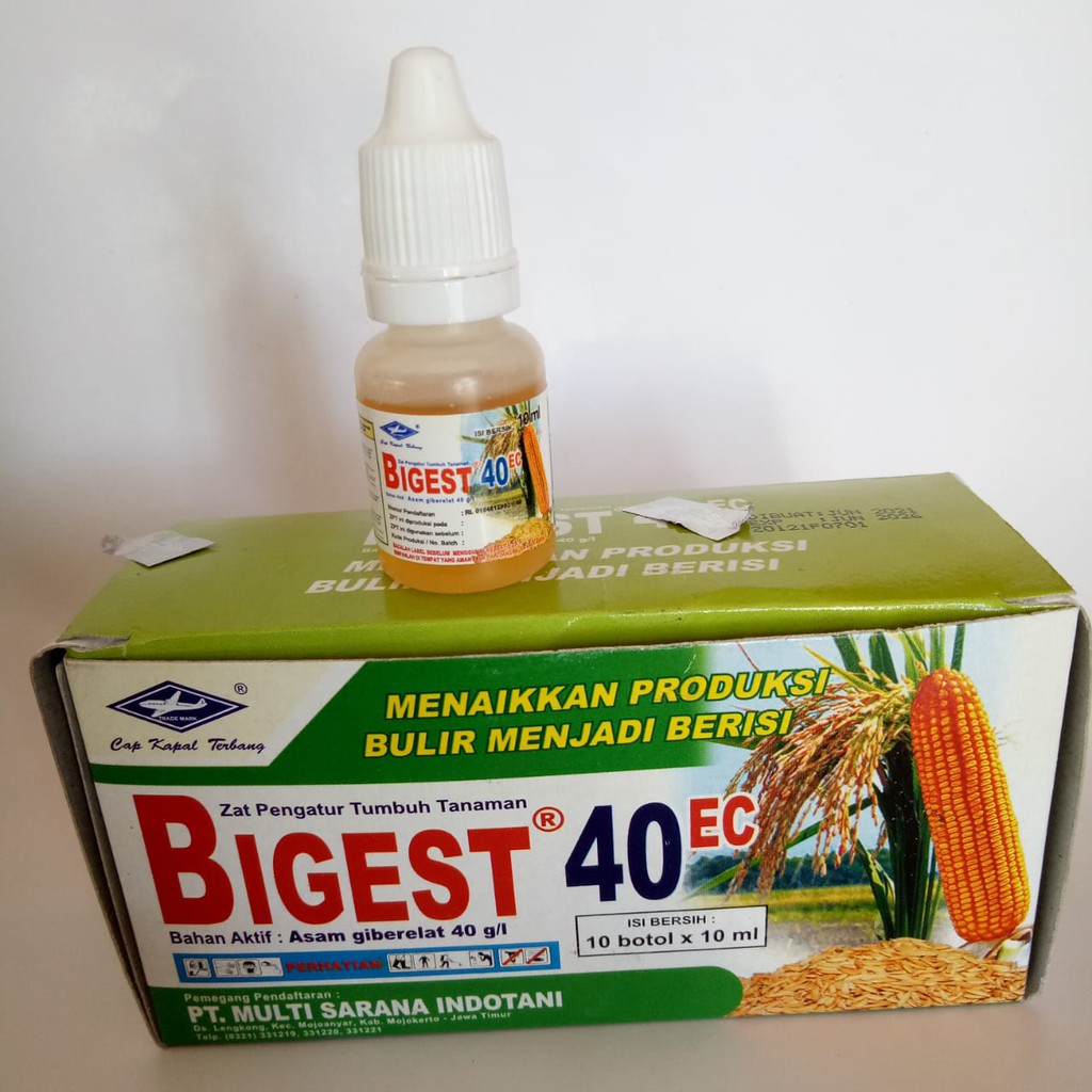 BIGEST 40 EC  ZPT 10ml