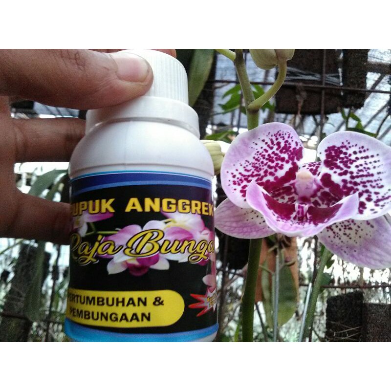 pupuk anggrek super RAJA BUNGA isi 100ml