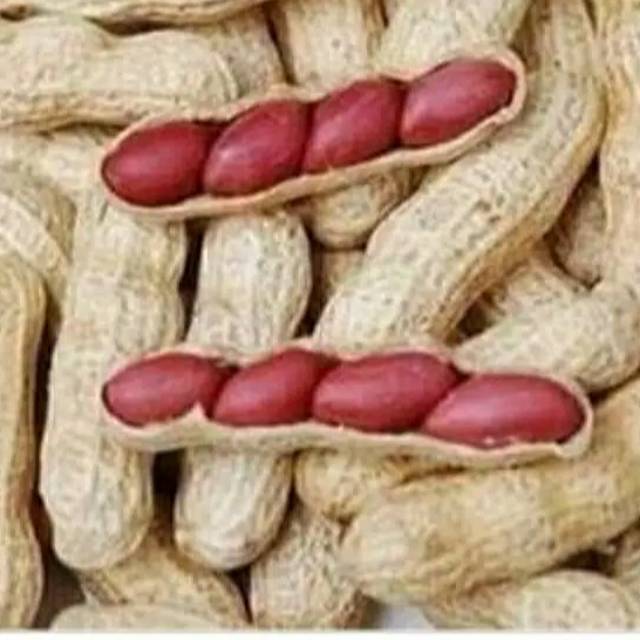 

Kacang tanah kulit 1Kg.Super