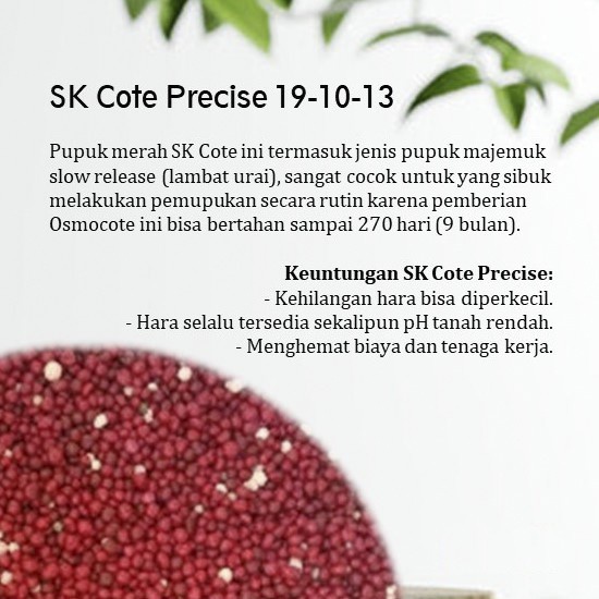 SK COTE 19-10-13 Merah Pupuk Slow Release Daun dan Pembungaan 25kg