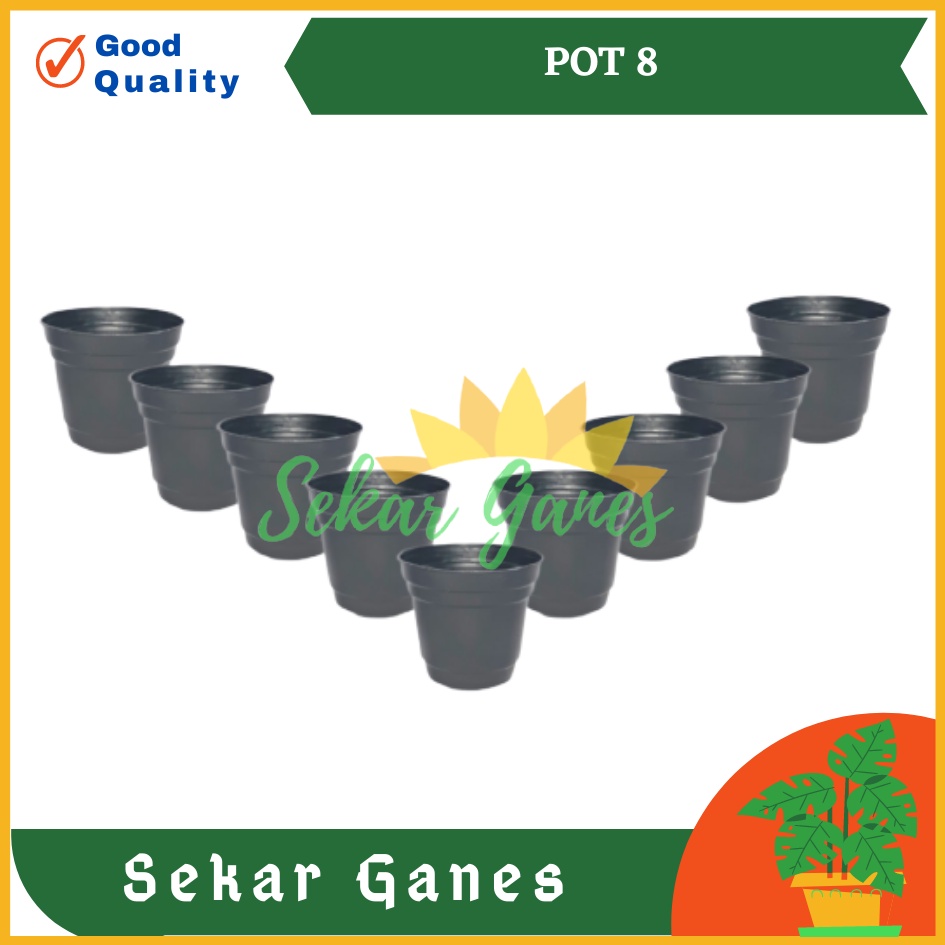 Pot 8 Cm Hitam By Garden Of Love Pot Bunga 8cm Plastik Kaktus Hitam Pot Hidroponik Mini Pot 7 Cm