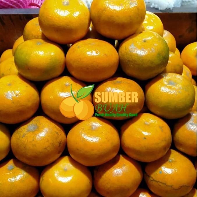 

JERUK MEDAN SEGAR 1 KG SUMBER BUAH