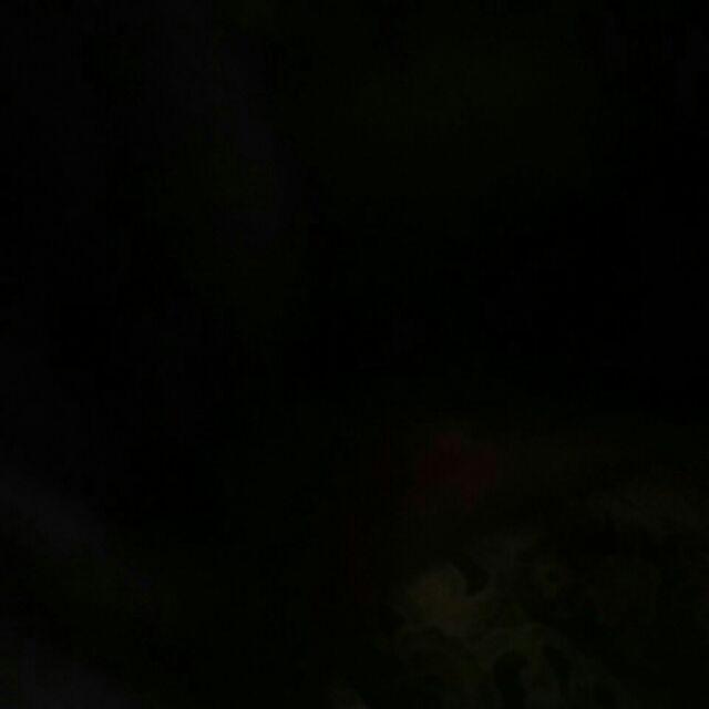 Maura Couple - Sania Ruffle Batik Couple Ori Ndoro Jowi Dnt Garansi Termurah Shopee  Selendang Merak