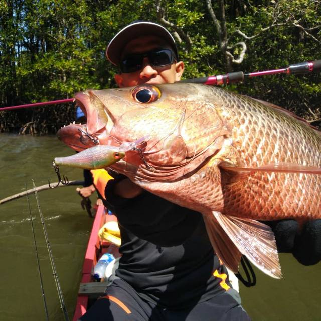 Produk HD Fishing online Shop Shopee Indonesia