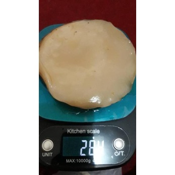 

[KODE BARANG 1883] !!! SCOBY ATAU JAMUR DIPO TERMURAH UNTUK MEMBUAT KOMBUCHA