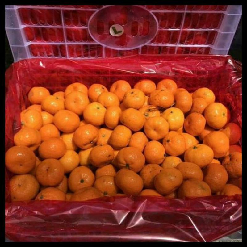 

jeruk santang/1kg