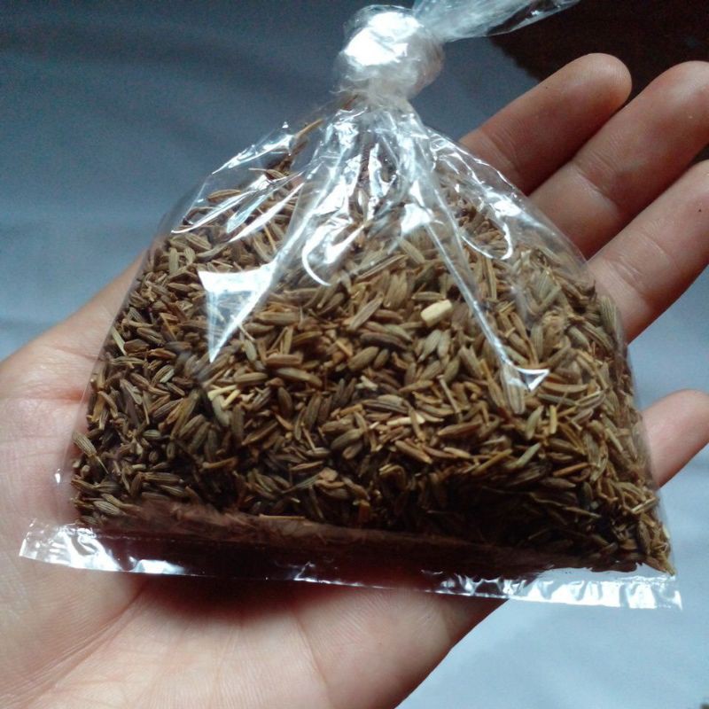 

rempah jintan jinten asli