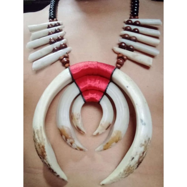 Kalung Taring Babi Etnik Dayak