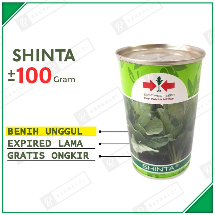 Shinta Bibit Sawi Caisim Unggul Benih Sawi Caisim Hibrida KL
