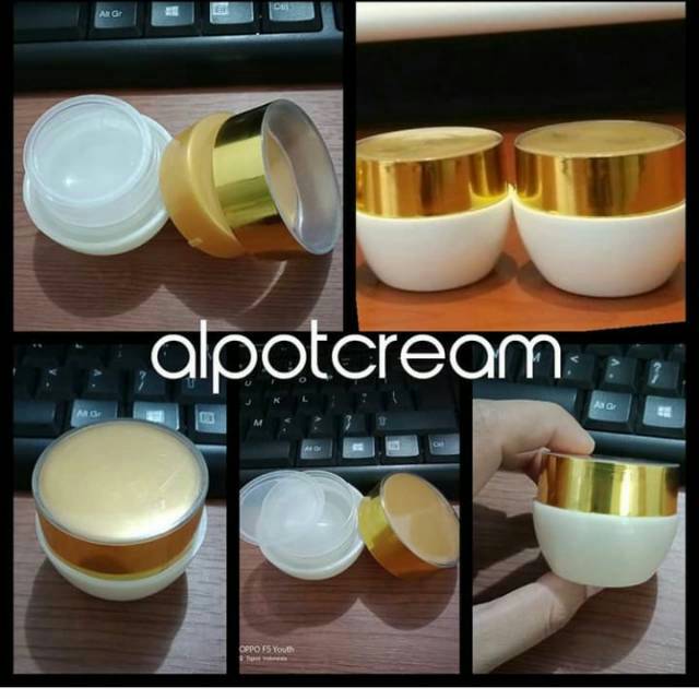 Pot kimura tutup gold