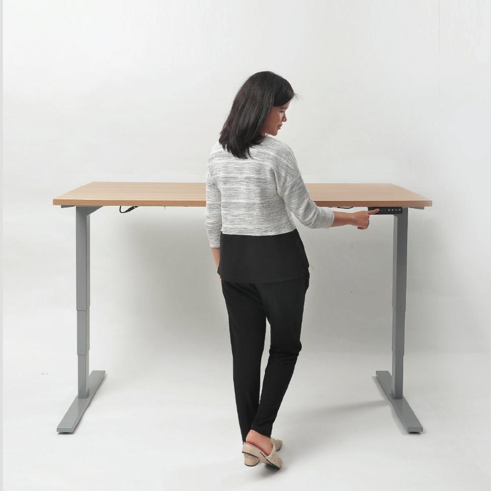 Firm - SNO High-Adjustable Desk