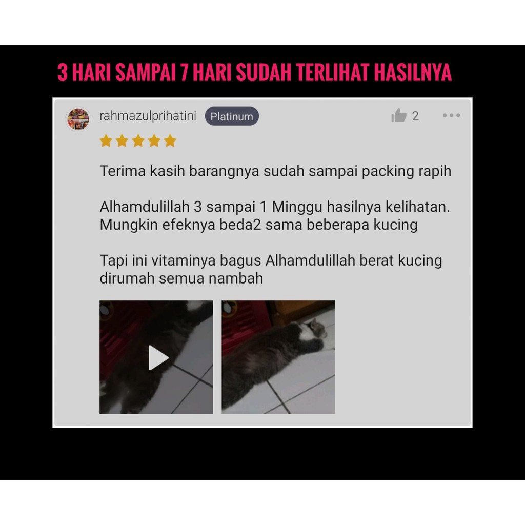 VITAMIN KUCING NAFSU MAKAN KURUS OBAT GEMUK KUCING PENGGEMUK SEHAT VITAMIN ANTIBODY VITAMIN BULU KUCING ANTI JAMUR PENUMBUH BULU KUCING