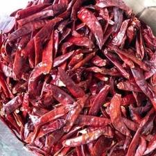 

ヘ [Ready Stok] CABE KERING TEJA IMPORT cabe setan kering super pedas 250 gram ぬ