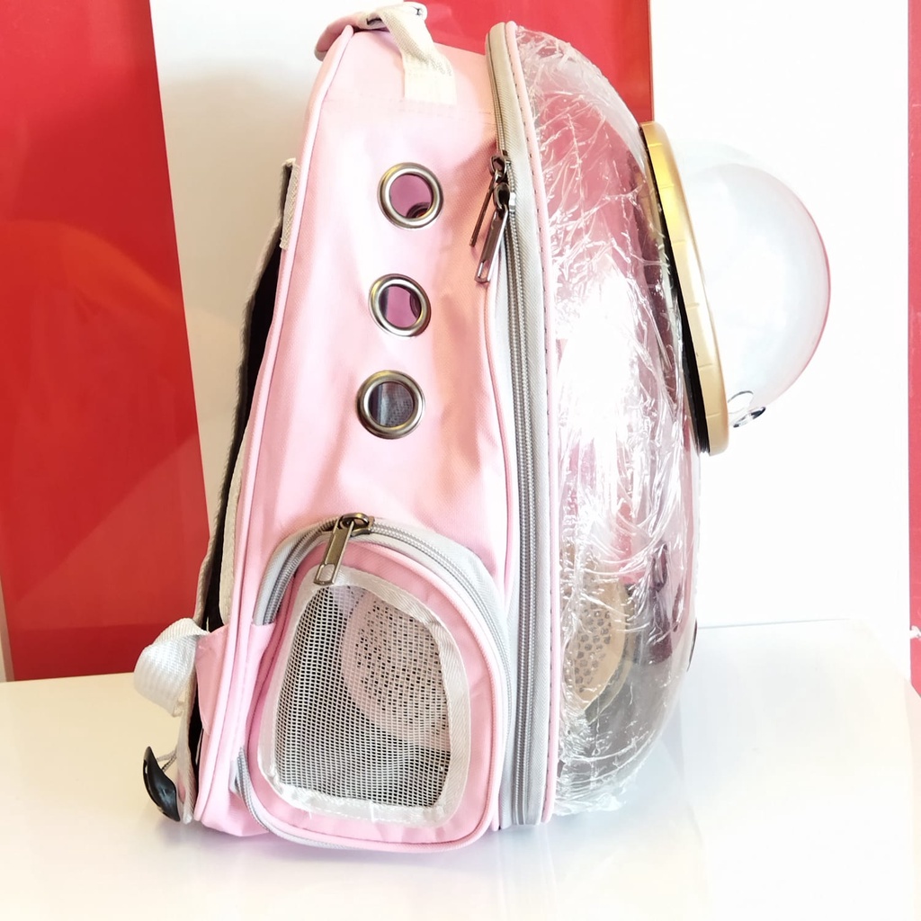 Tas astronot kucing