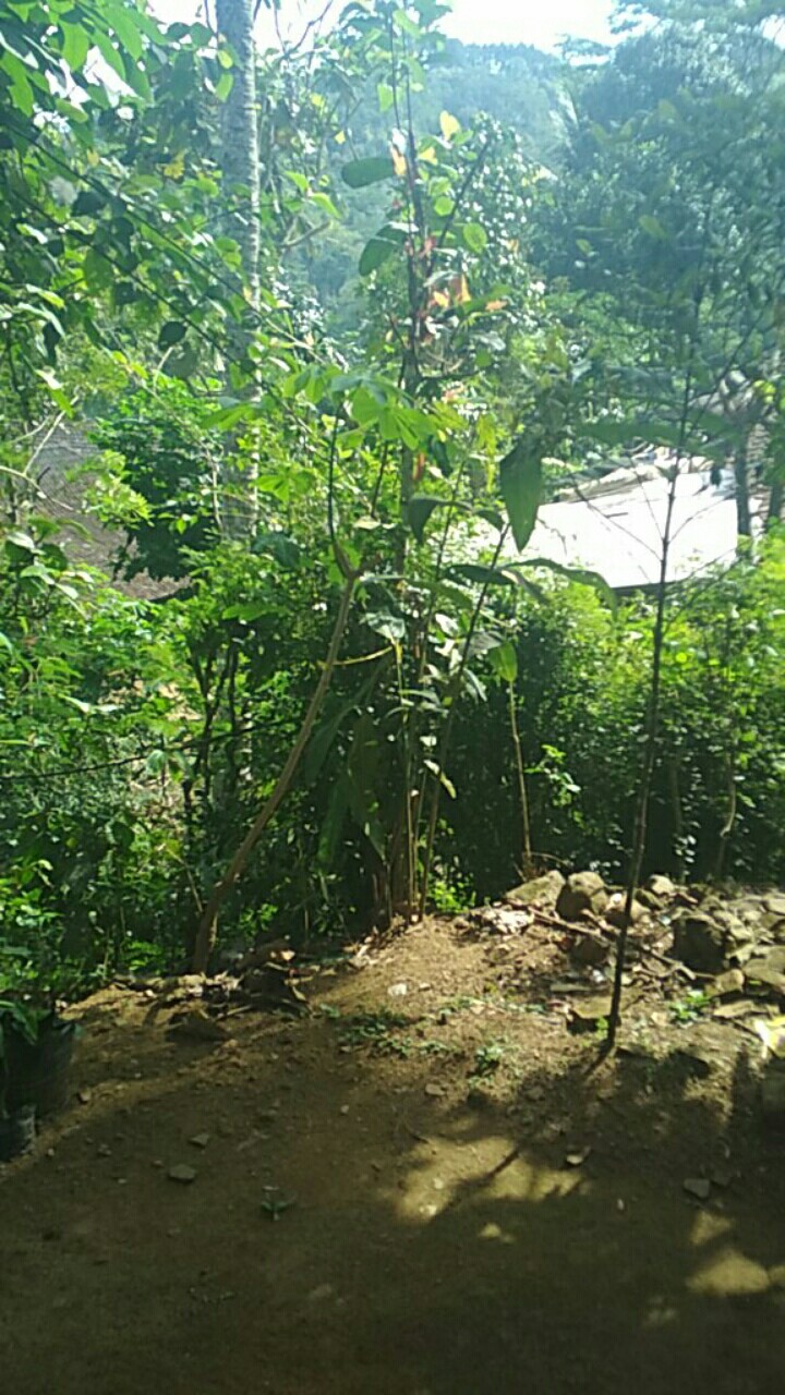 Kemasan Kopi Flatbuttom Kraft 100gr Kopi