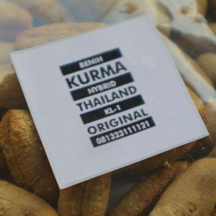 super biji benih kurma hybrid tropical kl-1 tropis hibrida impor thailand urgent